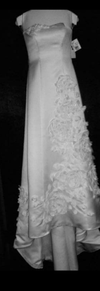 David's Bridal wedding dress